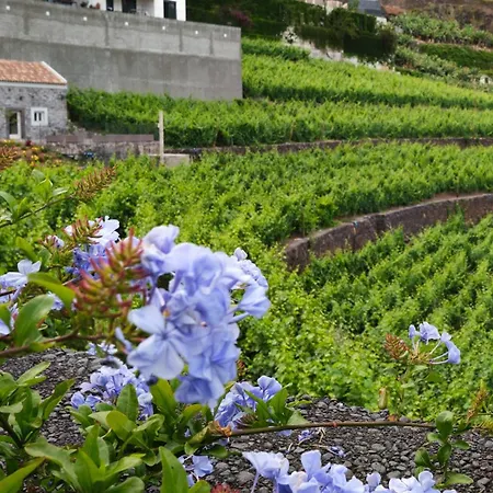 Quinta Do Serrado Câmara de Lobos